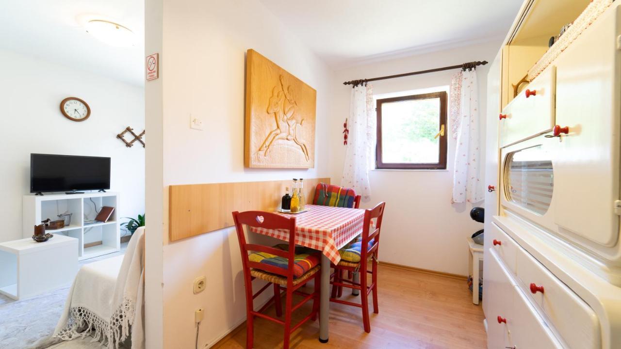 Karolina Apartment Fuzine Exterior photo
